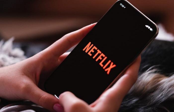 Netflix lance une nouvelle fonction pour que les extraits de ses séries inondent les réseaux sociaux