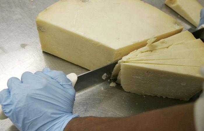 Un escroc se fait passer pour un fromager français et vole 22 tonnes de cheddar dans une fromagerie de Londres