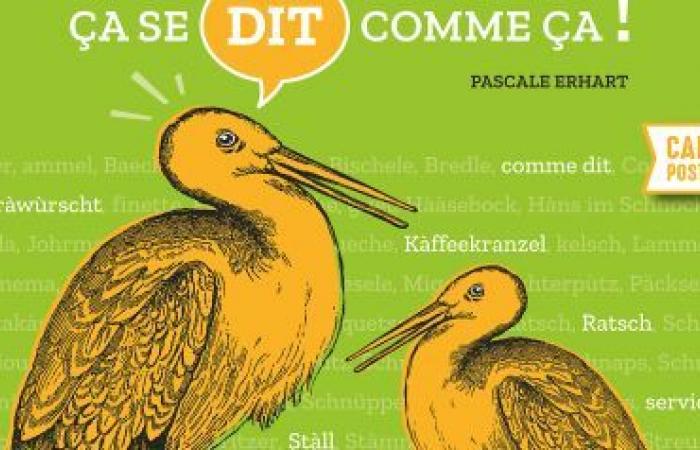 EN VIDÉOS – Le livre « En Alsace on dit comme ça » de Pascale Erhart