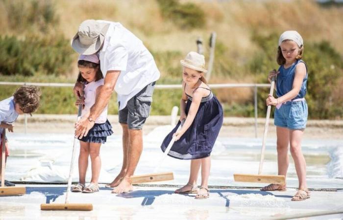 Cinq activités pour tenter de découvrir la Vendée par la mer