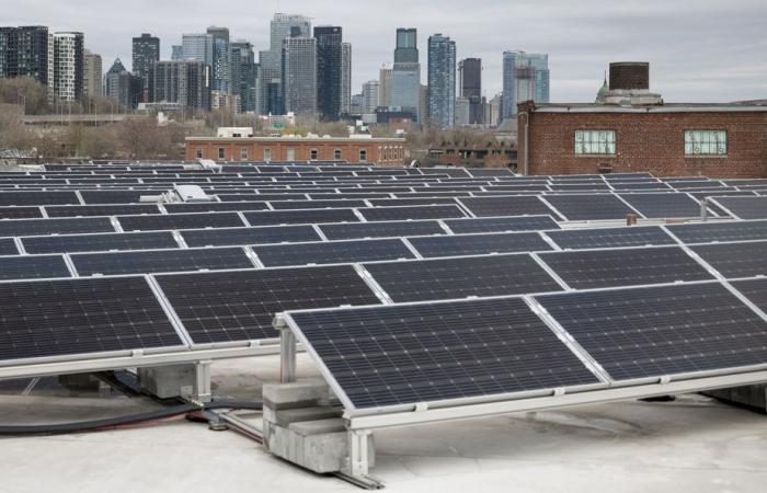 Planète bleue, idées vertes | Électrochoc solaire