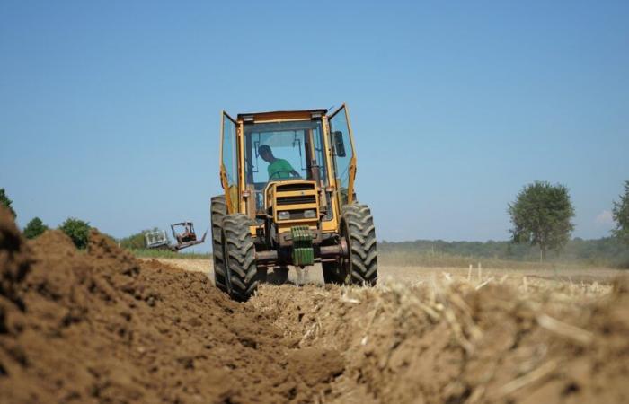 le prix des terres agricoles a augmenté en 2023, l’hectare coûte désormais 4 705 €