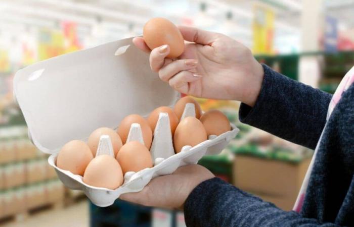 LIDL, Leclerc, Carrefour lancent un rappel urgent sur ce produit du quotidien et il s’agit des œufs