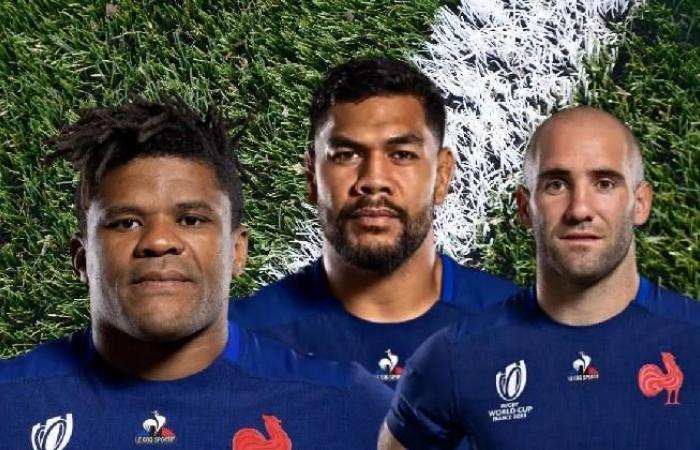 RUGBY. « Le groupe vieillit », le XV de France doit-il se renouveler rapidement ?