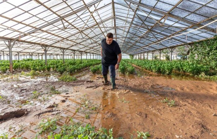 Après les inondations, la Chambre d’agriculture du Var réactive sa cellule de crise