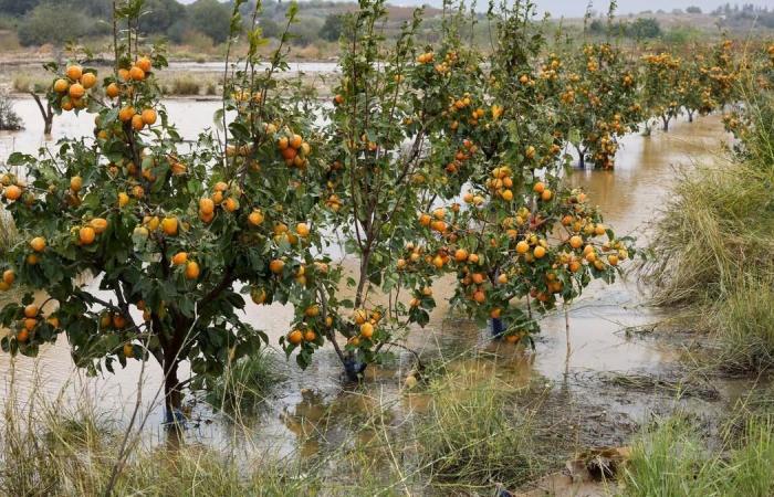 La tempête qui maintient une grande partie de la péninsule en alerte en raison de fortes pluies, en images