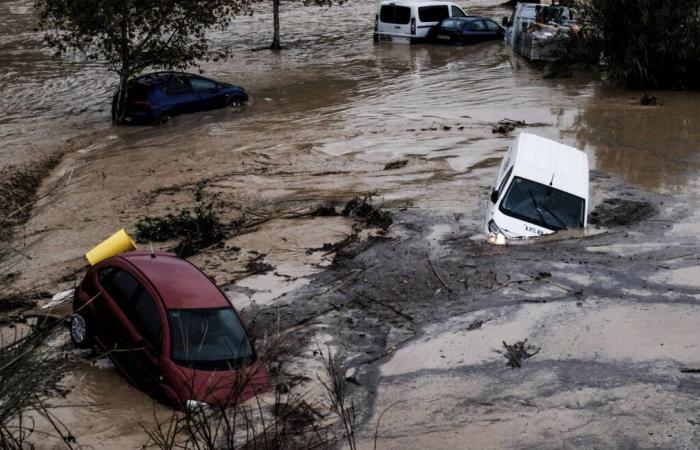 Inondations meurtrières en Espagne, Harris attaque Trump et accuse Slimane