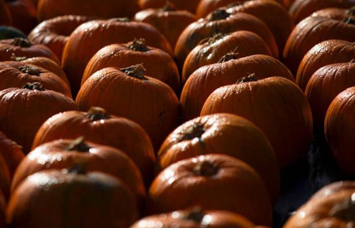 La pluie pourrait freiner les festivités d’Halloween – WHIO TV 7 et WHIO Radio