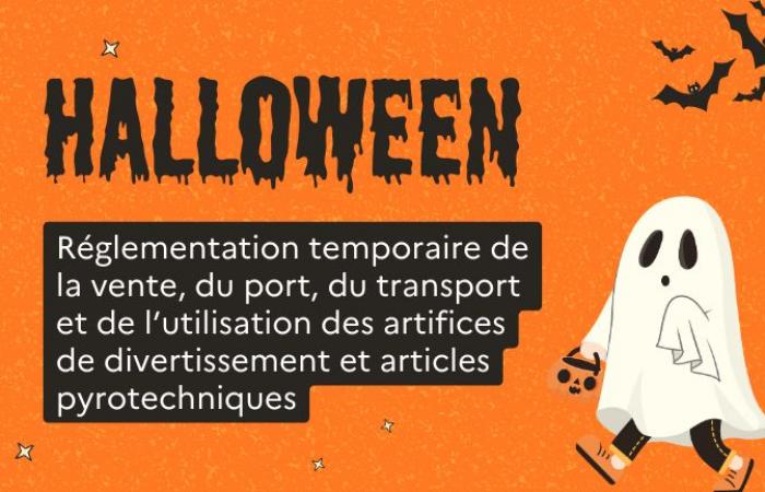 Réglementation temporaire des artifices et articles pyrotechniques – Protection publique et sécurité civile – Sécurité – Actualités