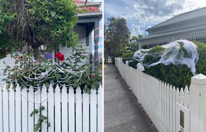 Avertissement concernant la tendance « nocive » des jardins alors que les Australiens participent aux célébrations d’Halloween