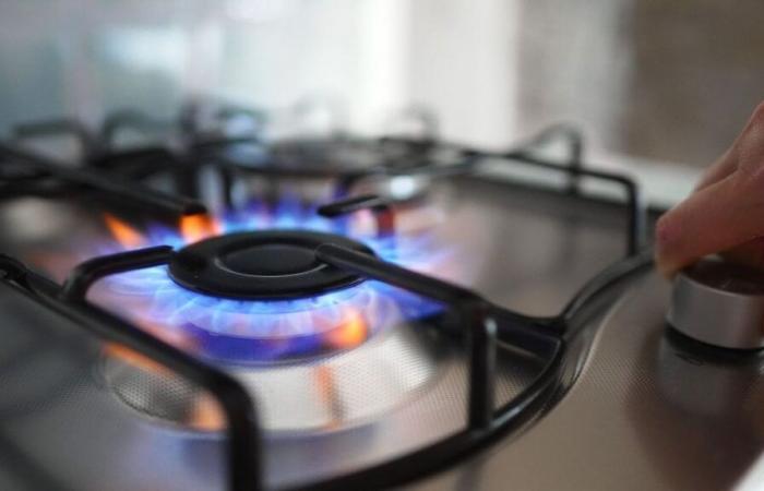 Les cuisinières à gaz tuent 40 000 Européens chaque année, prévient un rapport