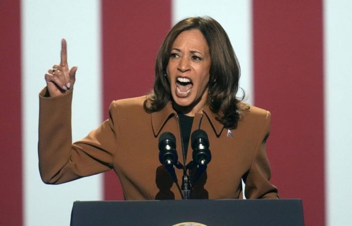 Harris organise un rassemblement historique et donne un surnom à Trump