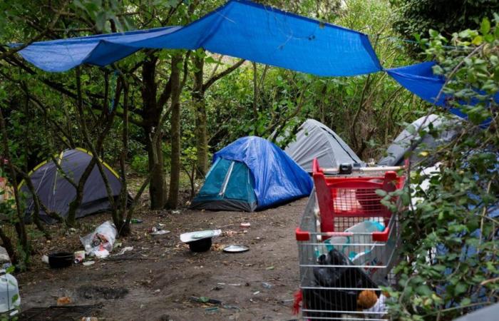 à Calais, l’eurodéputée Mélissa Camara dénonce un « désastre humanitaire »