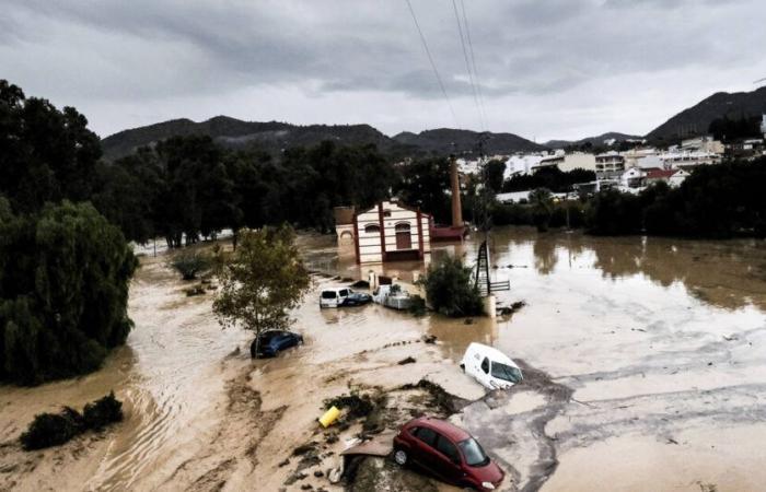 Les sachets de nicotine bientôt interdits, inondations en Espagne, Palme d’or 2024 au cinéma… L’actu de ce mercredi matin – Libération