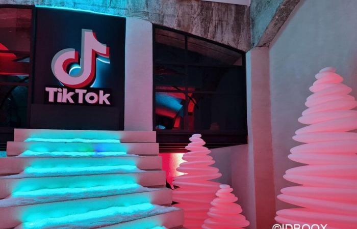 TikTok se lance dans l’édition de livres papier