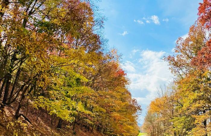 Octobre se termine anormalement chaud ; quelques averses probables vendredi