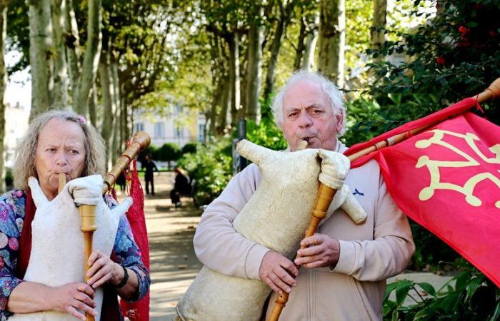 Depuis 20 ans, ils animent une école associative dans l’Aude pour la sauvegarde d’un instrument de musique occitan.