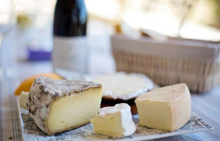 Foire aux vins et fromages français, chasse au trésor, piñata… Que faire dans le Lot ce week-end ?