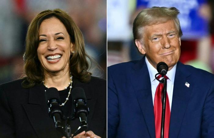 Trump face à Harris, que révèlent les derniers sondages à J-5 de l’élection ?