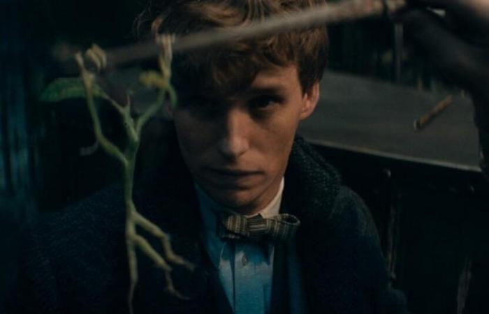 Pour Eddie Redmayne, les Animaux Fantastiques 4 ne verront pas le jour