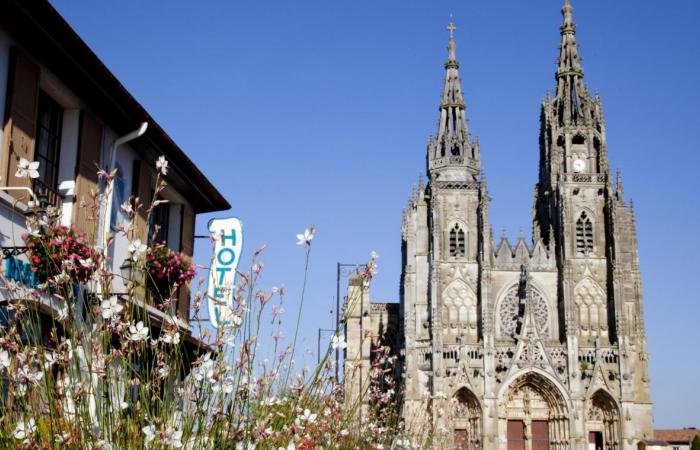 Destination Marne: Châlons-en-Champagne, sparkling Venice