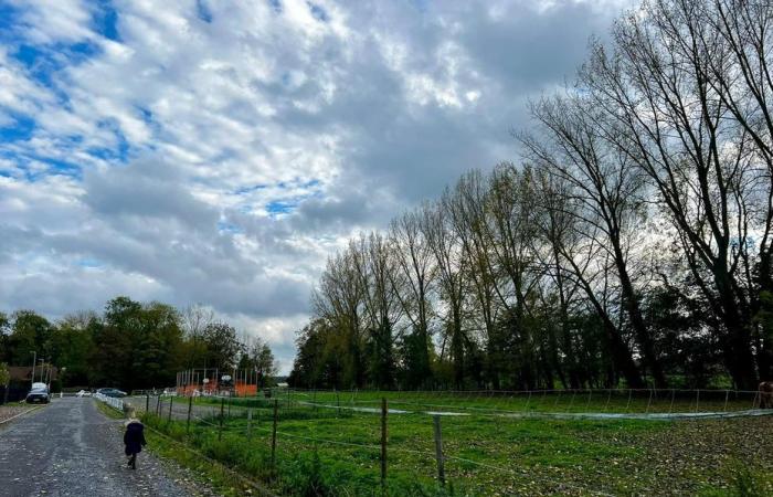 Bulletin météo. Quel temps fait-il ce jeudi 31 octobre dans les Hauts-de-France ?