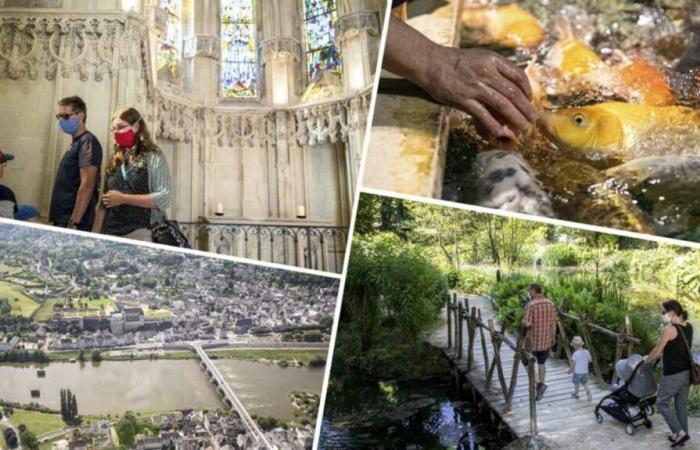 Quatre idées de sorties week-end les 2 et 3 novembre à Amboise