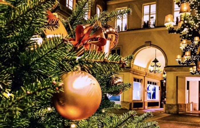 où acheter son sapin de Noël à Paris et en Île-de-France ?