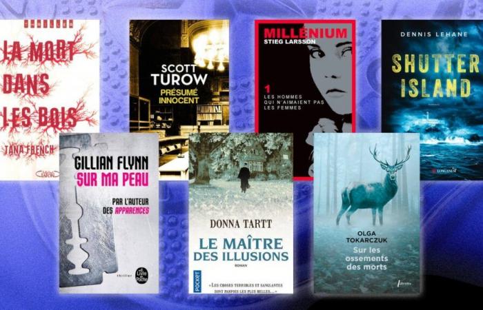 les meilleurs thrillers qui vous épateront avec leurs rebondissements