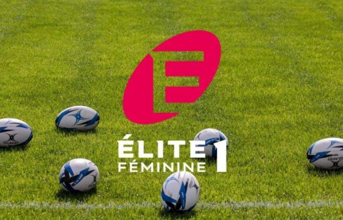 RUGBY. Canal+ fait entrer l’Elite 1 Féminine dans une nouvelle ère – Décryptage