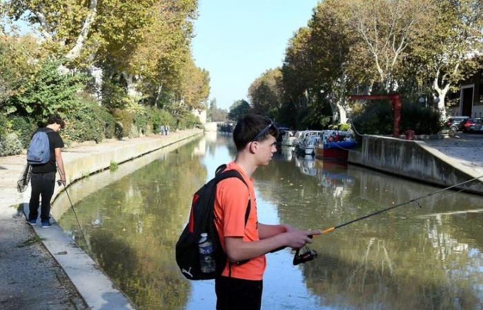 dans l’Aude, “les jeunes manifestent un fort intérêt pour la pêche”