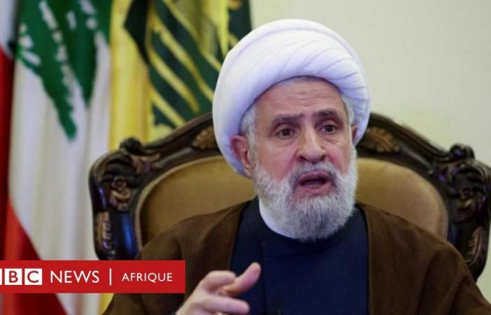 qui est le nouveau chef du Hezbollah ?