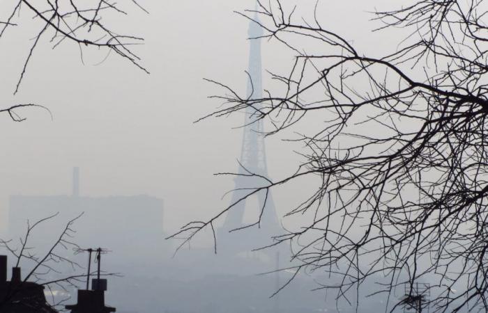 des bancs de brouillard attendus à Paris le 1er novembre