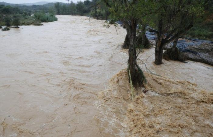 Un camping à Torreblanca est expulsé et la rivière Cervol déborde à Vinaròs