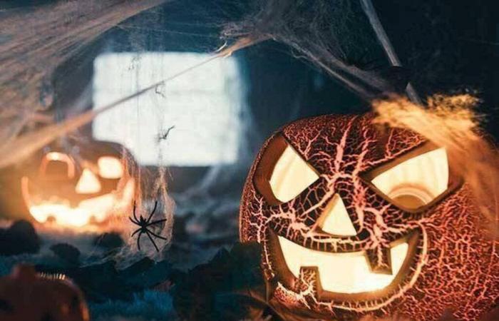 Questionnaire. Êtes-vous un expert d’Halloween? – Édition du soir Ouest-France