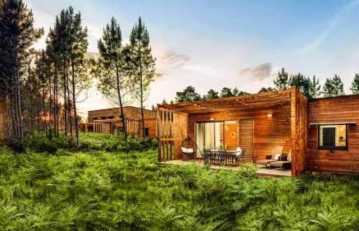 Quel est le meilleur Center Parcs en France ? Voici le site à choisir pour des vacances idéales