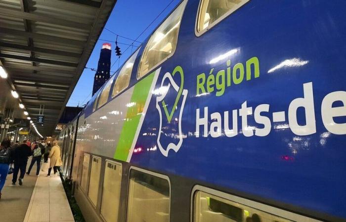 Un homme de 70 ans décède après avoir été heurté par un train à Gratibus, dans l’est de la Somme