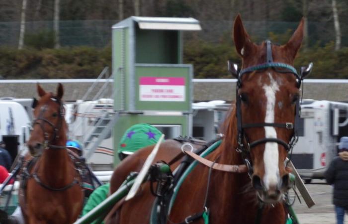 Une exposition sur les courses hippiques dans les Côtes-d’Armor à l’hippodrome de la Baie