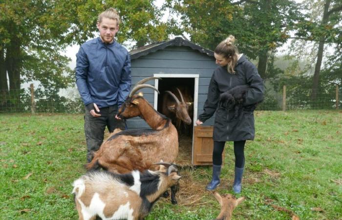 ils créent une ferme pédagogique pour récupérer les animaux abandonnés