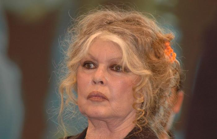 Brigitte Bardot désorientée à La Madrague, cette alerte vécue loin des regards à Saint-Tropez