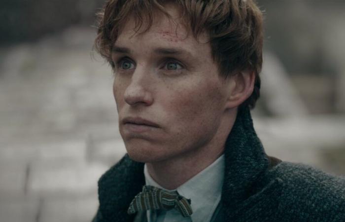 Les Animaux Fantastiques, spin-off de Harry Potter, est “probablement” terminé, déclare Eddie Redmayne