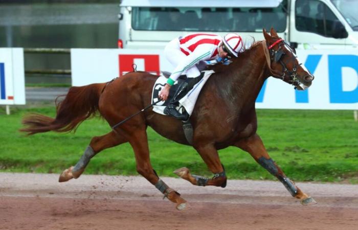 Prix ​​Annick et Georges Dreux : Jimako Verderie en chef