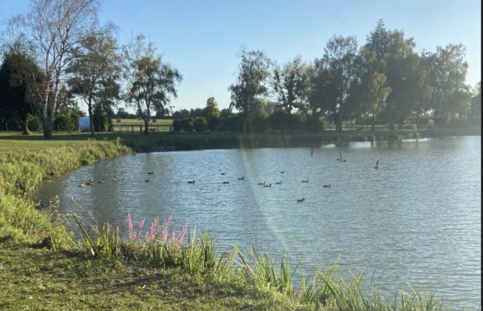 Le prix et la qualité de l’eau potable dans ces huit communes de la Sarthe sont « irréprochables »