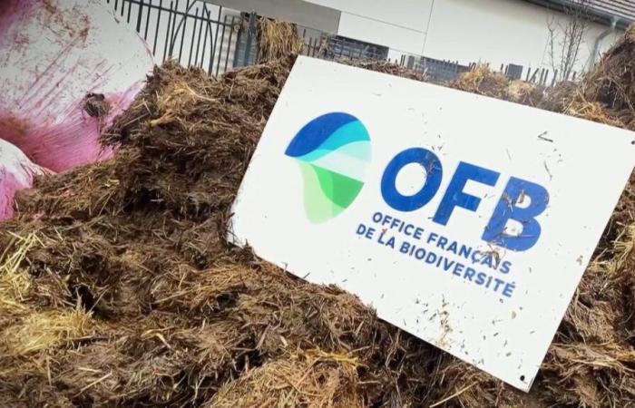 l’Office français de la biodiversité sous la pression des agriculteurs