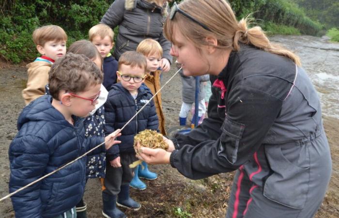 Grâce au remplacement du Finistère, des enfants visitent une ferme