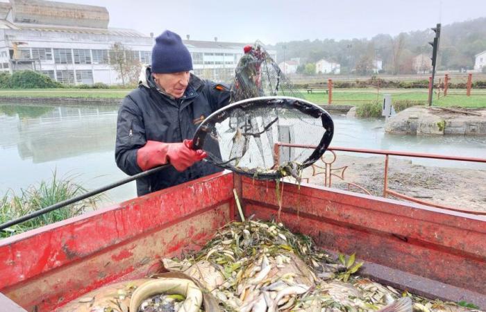 le préfet ordonne la vidange des eaux mortelles pour les poissons