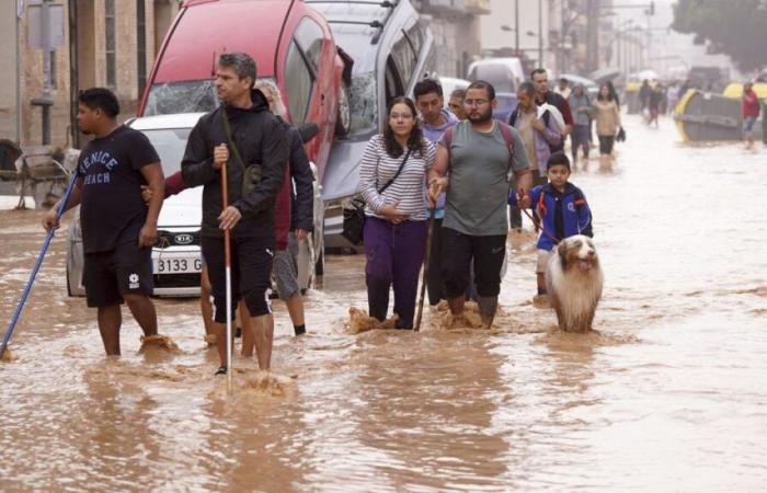 Un rapport relie des conditions météorologiques plus meurtrières au changement climatique