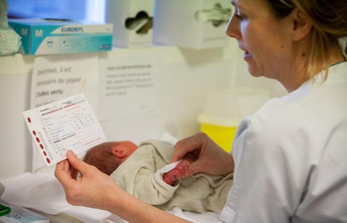 La drépanocytose, une anémie d’origine génétique, enfin détectée chez tous les nouveau-nés