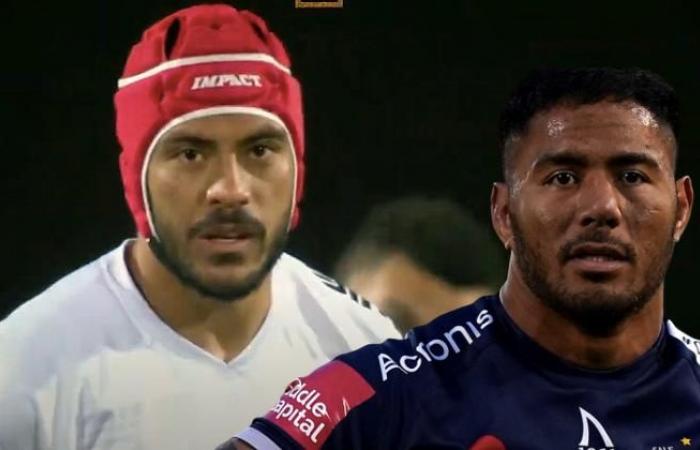 Ahki vs Tuilagi, parce qu’il n’y a pas que les bonbons qui font tomber les dents