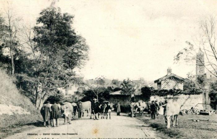 Plongez dans les origines de l’une des plus grandes foires de Gironde